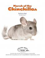 March of the Chinchillas 