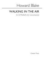 Walking In The Air 
