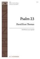 Psalm 23 