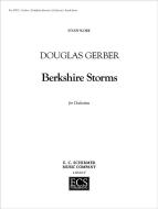 Berkshire Storms 