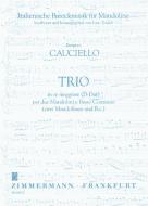 Trio en ré majeur 