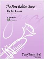 Big Cat Groove Standard