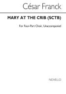 Mary At The Crib (Lethbridge) 
