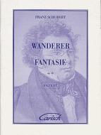 Wanderer Fantasie, Op.15 