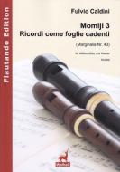 Momiji 3 - Ricordi come foglie cadenti 