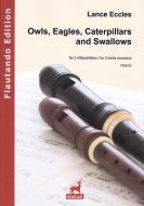 Owls, Eagles, Caterpillars and Swallows-  