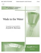 Wade in the Water 