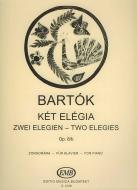 Two Elegies 