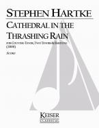 Cathedral in the Trashing Rain 