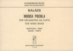 Musica piccola 