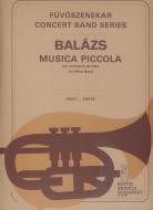 Musica piccola 