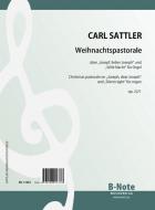 Pastorale sur 'Joseph, cher Joseph' et 'Douce nuit' pour orgue op.22/1 