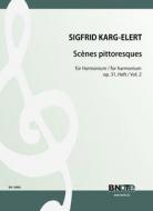 Scènes pittoresques pour harmonium op.31/2 