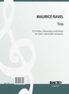 Trio pour violon, violoncelle et piano 