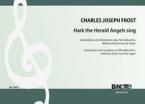 Variationes sur le Noël 'Hark the Herald Angels sing' pour orgue 
