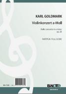 Concert pour violon et orchestre an la mineur op.28 (orchestre) 