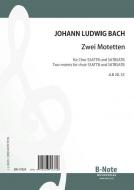 Deux motets pour choeur a 6 et 8 voix 