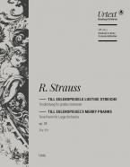 Till Eulenspiegel's Merry Pranks 