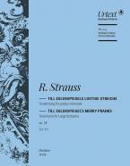 Till Eulenspiegel's Merry Pranks op. 28 TrV 171 