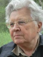 Das Birkenbäumchen 