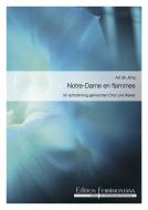Notre-Dame en flammes 