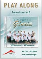 Play Along - Tenorhorn in B 