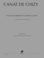 Vagues se brisant contre le vent 