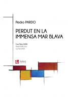 Perdut en la immensa mar blava 