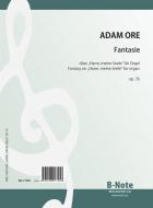 Fantaisie sur 'Harre, meine Seele' pour orgue op.76 