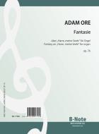 Fantaisie sur 'Harre, meine Seele' pour orgue op.76 