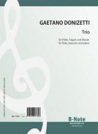 Trio pour flûte, basson et piano 