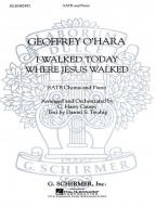 I Walked Today Where Jesus Walked 