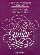 Perfect Sky Guitar Solo 