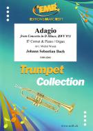 Adagio from Concerto in D Minor BWV 974 Standard