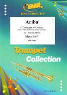 Ariba Standard