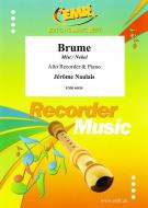 Brume Standard