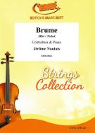 Brume Standard