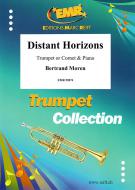 Distant Horizons Standard