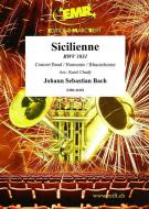 Sicilienne BWV 1031 Standard