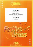 Ariba Download