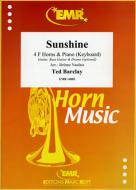 Sunshine Standard