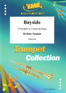 Bayside Standard