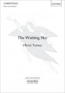 The Waiting Sky 
