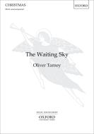 The Waiting Sky 