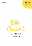 Night/Winter 