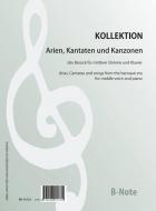 Airs, cantates et canzones de l'époque baroque 