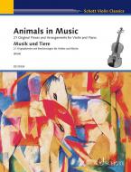 Schwanensee 