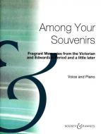 Among Your Souvenirs 