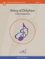 String of Dolphins Standard