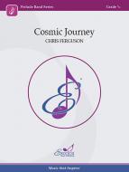 Cosmic Journey Standard